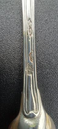 Cliquer pour agrandir 