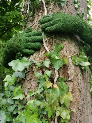 Cliquer pour agrandir TREE HUG, Monsieur PLANT- Photo Domaine de Seneffe/  P. Dewames