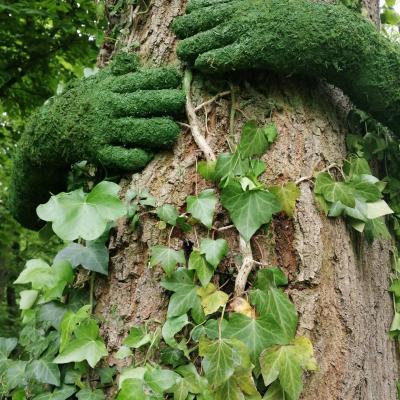 TREE HUG, Monsieur PLANT- Photo Domaine de Seneffe/  P. Dewames
