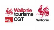 cgt wallonie couleur